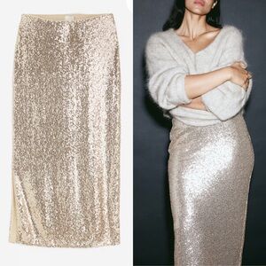 H&M Sequined Midi Skirt, XS
